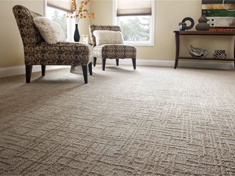 2901e937937330242197a4e461cb87f2.jpg shaw carpet linear design pattern carpet living room